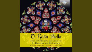 Missa Super O Rosa Bella: II. Agnus dei, T.90
