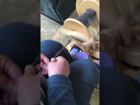 Plying my Suri