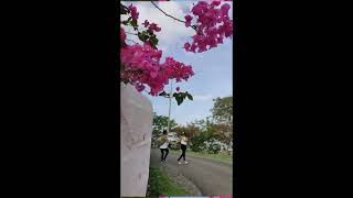 Ghungroo, War , Hrithik , Vishal & Pinky , Dance Choreography