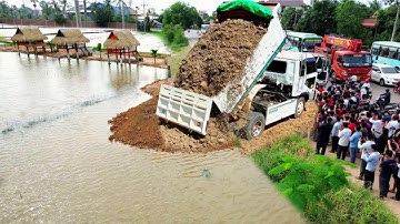 Completed Water A New Project! Dump Truck Unloading Soil And Skill Bulldozer KOMATSU Pushing Soil