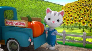 Honey Bee Acres Series 2 Webisode 10: Biggest Pumpkin Ever | Animation for Kids