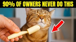 Kucing Anda Telah Menunggu Sepanjang Hidupnya Agar Anda Melakukan Hal Ini