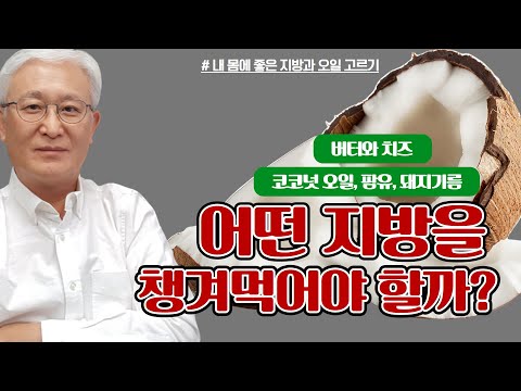 [E689] 내 몸에 좋은 지방과 오일 고르기 - 코코넛 오일, 팜유, 돼지기름 어떤 지방을 챙겨 먹어야 할까? 버터와 치즈는? 알아 볼수록 요지경인 정보를 제대로 알아내는 법