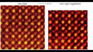 Non-rigid registration of STEM images