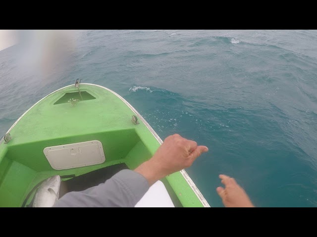 trolling for spanish mackerel with a handline 