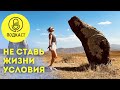 Не ставь жизни условия // Наслаждайся тем, что происходит