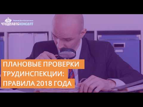 Плановые проверки трудинспекции 2018