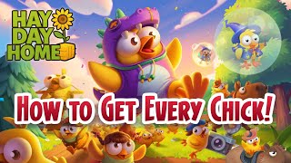 How to Get Every Chick! Catch Them All 🐥 #HayDay #Chick #HayDayEvent
