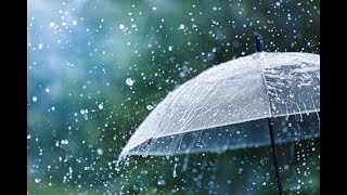 Weather IQ | What do "chance of rain" percentages mean?