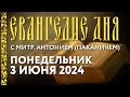 Понедельник, 3 июня 2024 года. Толкование Евангелия митрополитом Антонием (Паканичем).