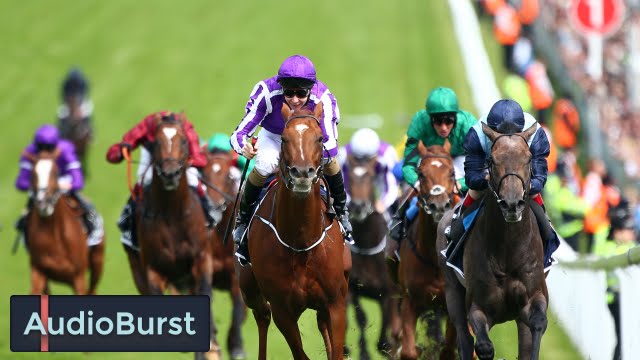 Monmouth Park, Race 7: The Funniest Horse Race Call Ever - YouTube