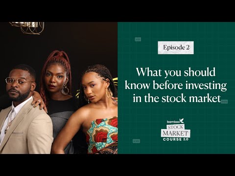 Episode 2 - What you should know before you invest in the stock market