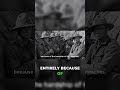 Gallipoli's Filthy Mouths: Aussie Swearing Legend