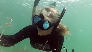 International Coastal Cleanup Day
