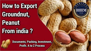 How to Export Groundnut, Peanut from india ? A to Z Export process By Sagar Agravat