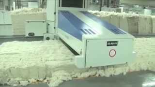 Proceder Studio Production