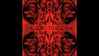 Calling the Coma - Hombre en ruinas