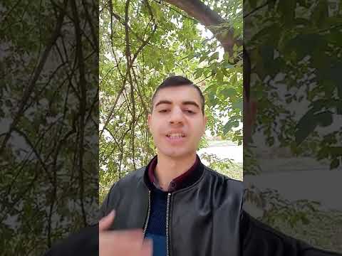 В дверь постучали