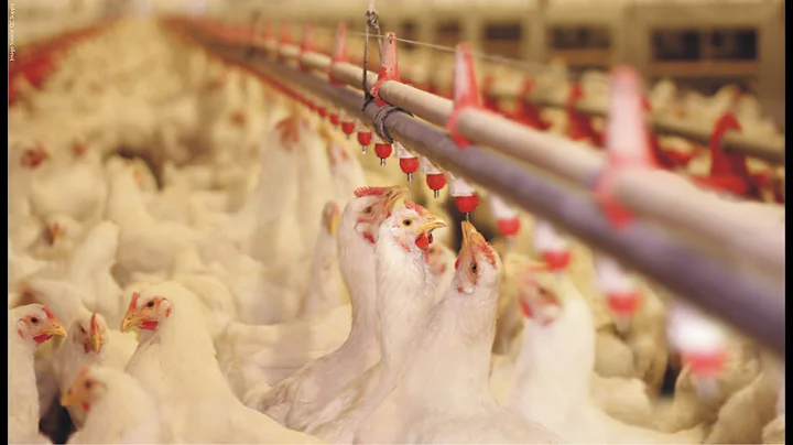 Introduction to Biosecurity and Key Concerns (4 Minutes Microlearning)