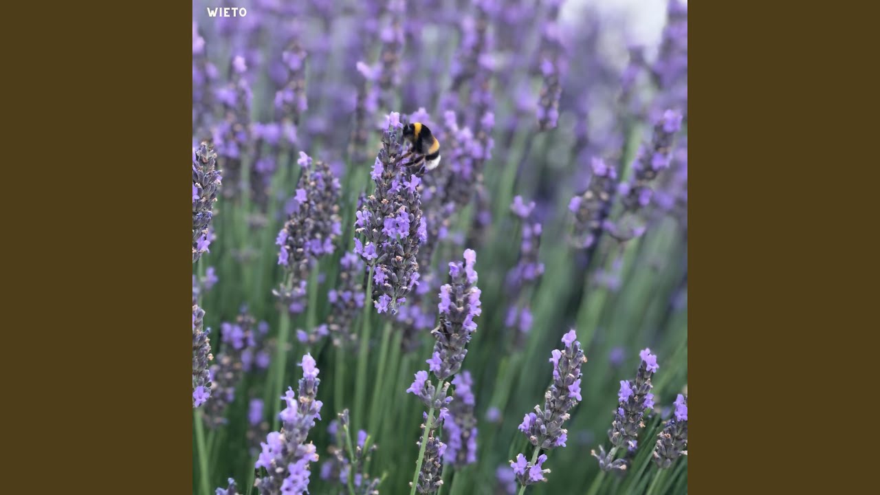 Watch unwind on YouTube Watch unwind on YouTube