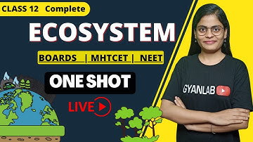 One Shot | Class 12 | Chapter 14 Ecosystem & Energy Flow | Gyanlab | Anjali Patel