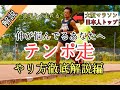 日本一詳しいテンポ走の目的とその実践法