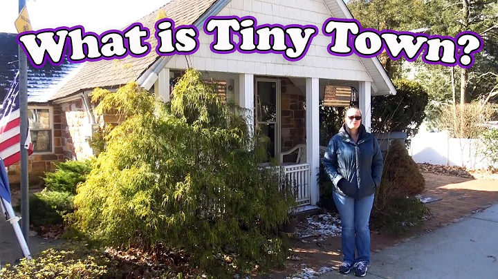 Tiny Town in North Merrick, NY - Debunking the Myths