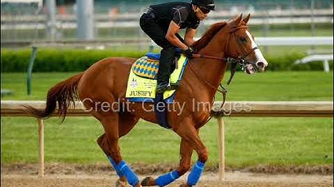 TVG Analyst Simon Bray Joins The Paddock Pass