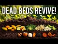 The Food Scrap Layering Method That Revives Dead Beds