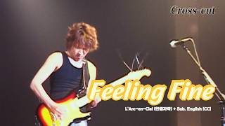 Download lagu [Mix Live] L'Arc~en~Ciel (라르크앙시엘) - Feeling Fine   Sub. English [CC]