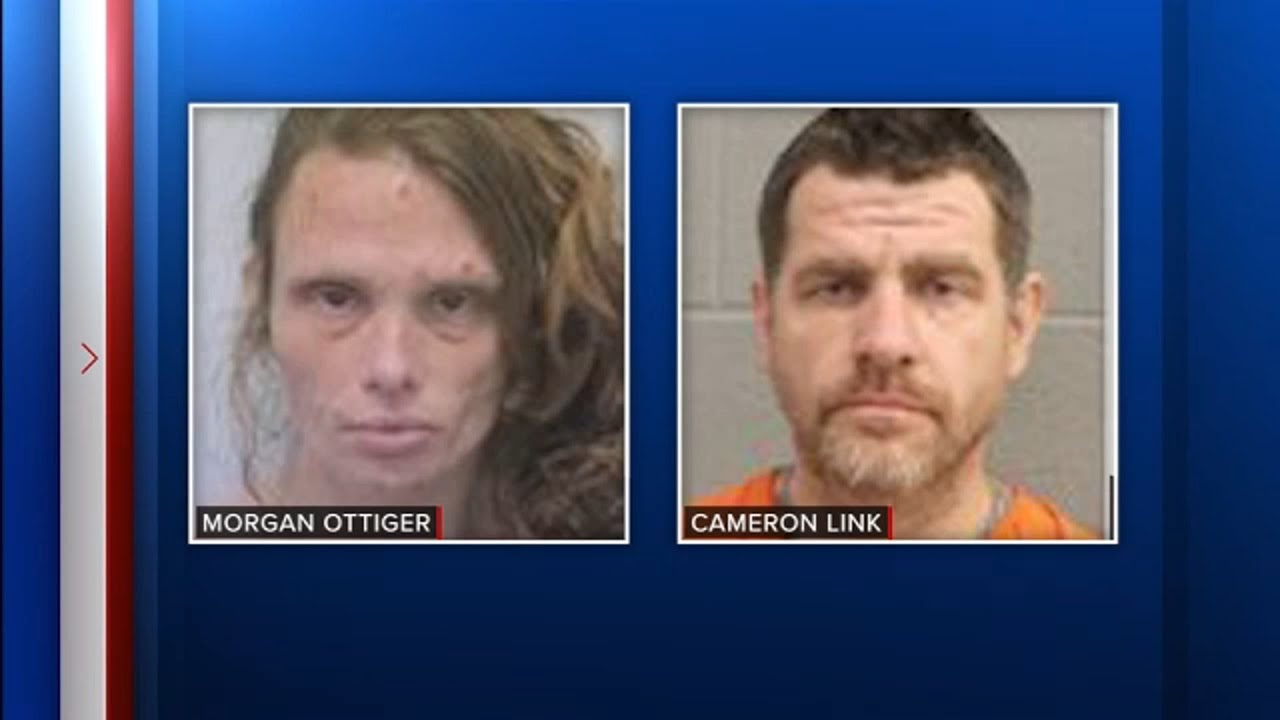 Mom charged with child endangerment after toddler hit, killed by ...