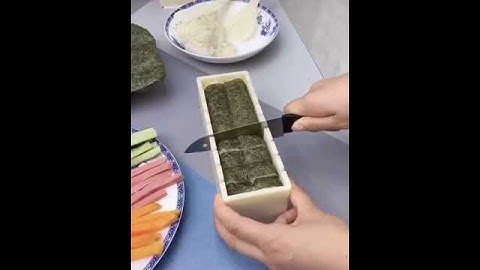 Thebagzon 10Pcs/Set DIY Easy Sushi Maker 8043