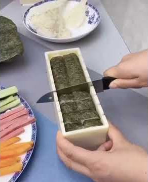 Perfect Sushi Roll Maker »