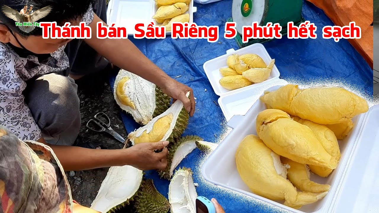 Sửng sốt 5 phút BÁN XỔ sạch đóng sầu riêng Ri 6 (100k/1ký cơm) QUÁ RẺ !│YMT63