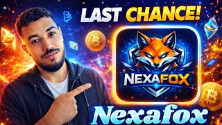 📈 NexaFox Full Analysis: Presale, Launch & OKX Plan