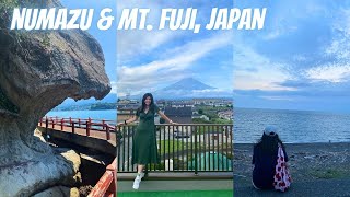 VISITING NUMAZU AND MT. FUJI, JAPAN! anime, fuji-q, haunted house, lake kawaguchiko, lots of fish! by Rachel Lin 170 views 7 months ago 15 minutes