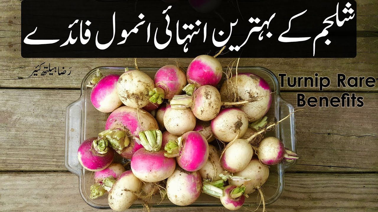 Shaljam Ke Behtreen Anmol Fayde شلجم کے بہترین انمول فائدے Turnip