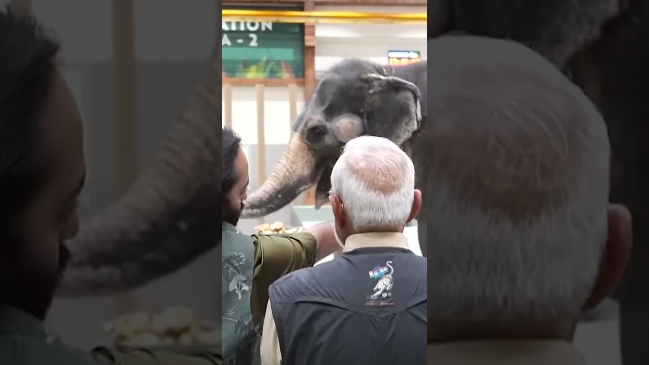 Vantara, animal rescue centre of Anant Ambani is a place where science heals the wild.