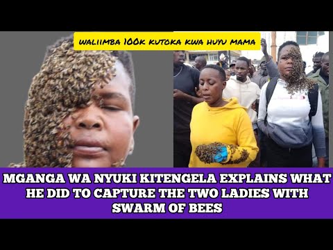 MGANGA WA NYUKI KITENGELA EXPLAINS WHAT HE DID TO CAPTURE THE TWO KITENGELA WOMEN WITH SWARM OF BEES