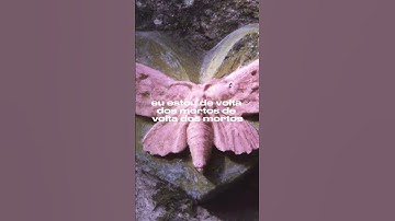 Melanie Martinez - back from the dead (snippet from MM3) tradução