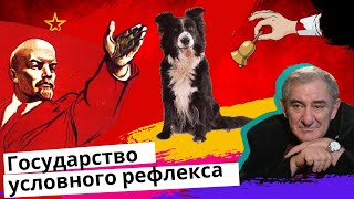 В нас пытались воспитать условный рефлекс! Михаил Казиник