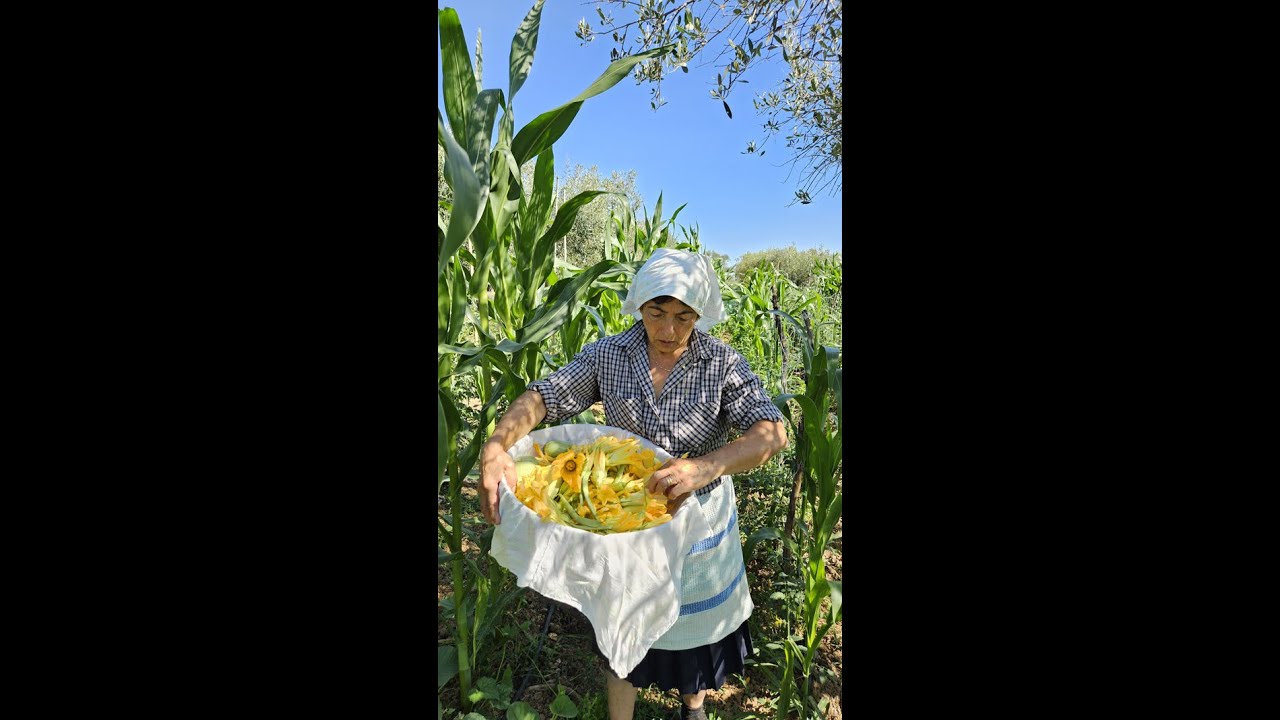 I frittelli fatti chi jhuri di cucuzzi - Le frittelle fatte con i fiori delle zucchine
