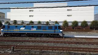 JR貨物を愛でる会(4K) EF210-302