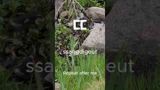 Learn Korean Hangul ㄸ (ssangdigeut)