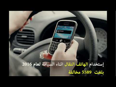 مخالفات المرور في فلسطين هل من عقوبات رادعة نهى صلاح