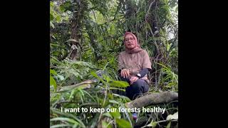 International Day of Forest 2023