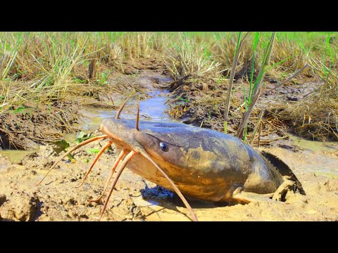 Top Lucky Fishing!