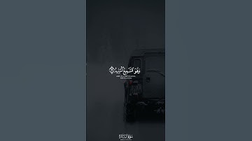 فسيكفيكهم الله وهو السميع العليم ｜ القارئ أحمد النفيس 🎙