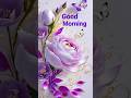 Good Morning Beautiful Good Morning Whatsapp Shorts Status Goodmorning Video Message