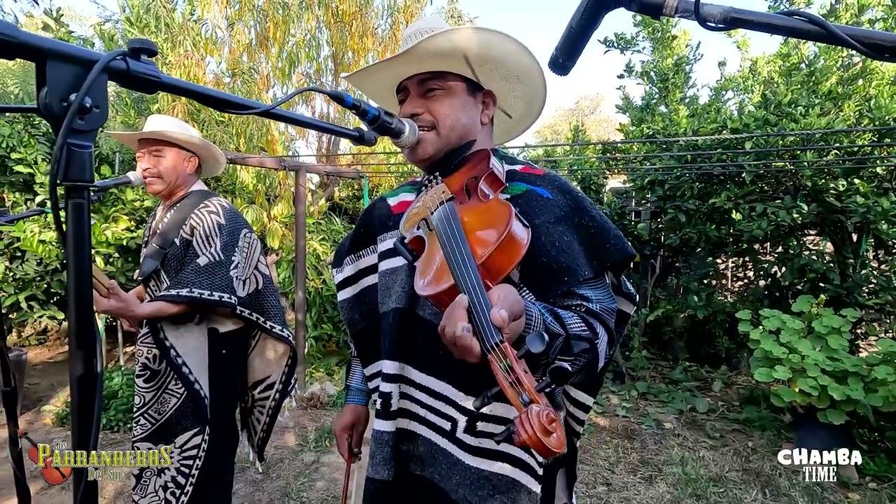 Ojitos Verdes - Seis Pies Abajo (Parranderos del Sur) cover en vivo